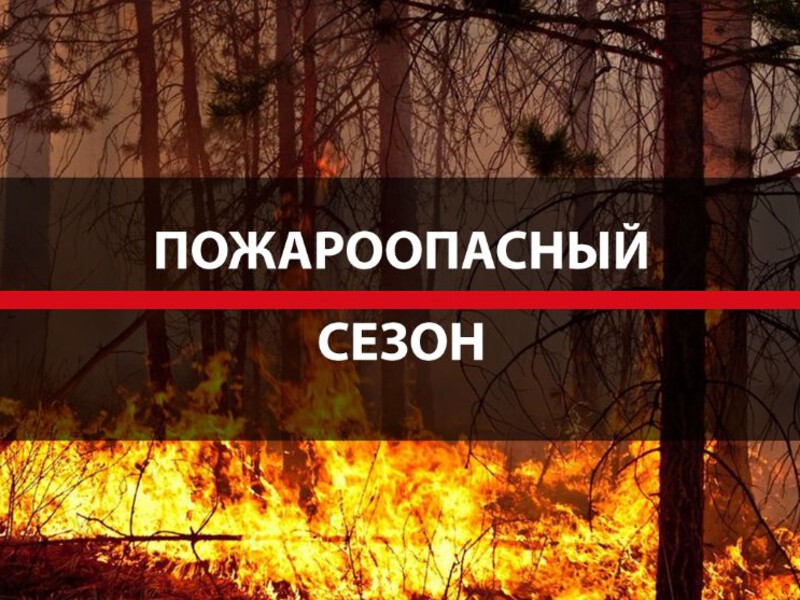 Как правильно отдохнуть на природе и можно ли  развести костер?.